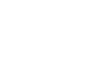 Trade House Data Logo with text inside of logo shape